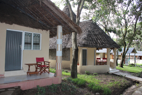 Safári de 3 dias em Masai Mara para pequenos grupos em Lodge