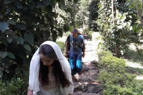Kandy Top City Sights & Agro Tech Park Visit 4-Hours Tour Kandy Top City Sights visit -01