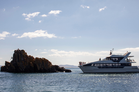 Hobart: River Derwent Guided Cruise on a Catamaran