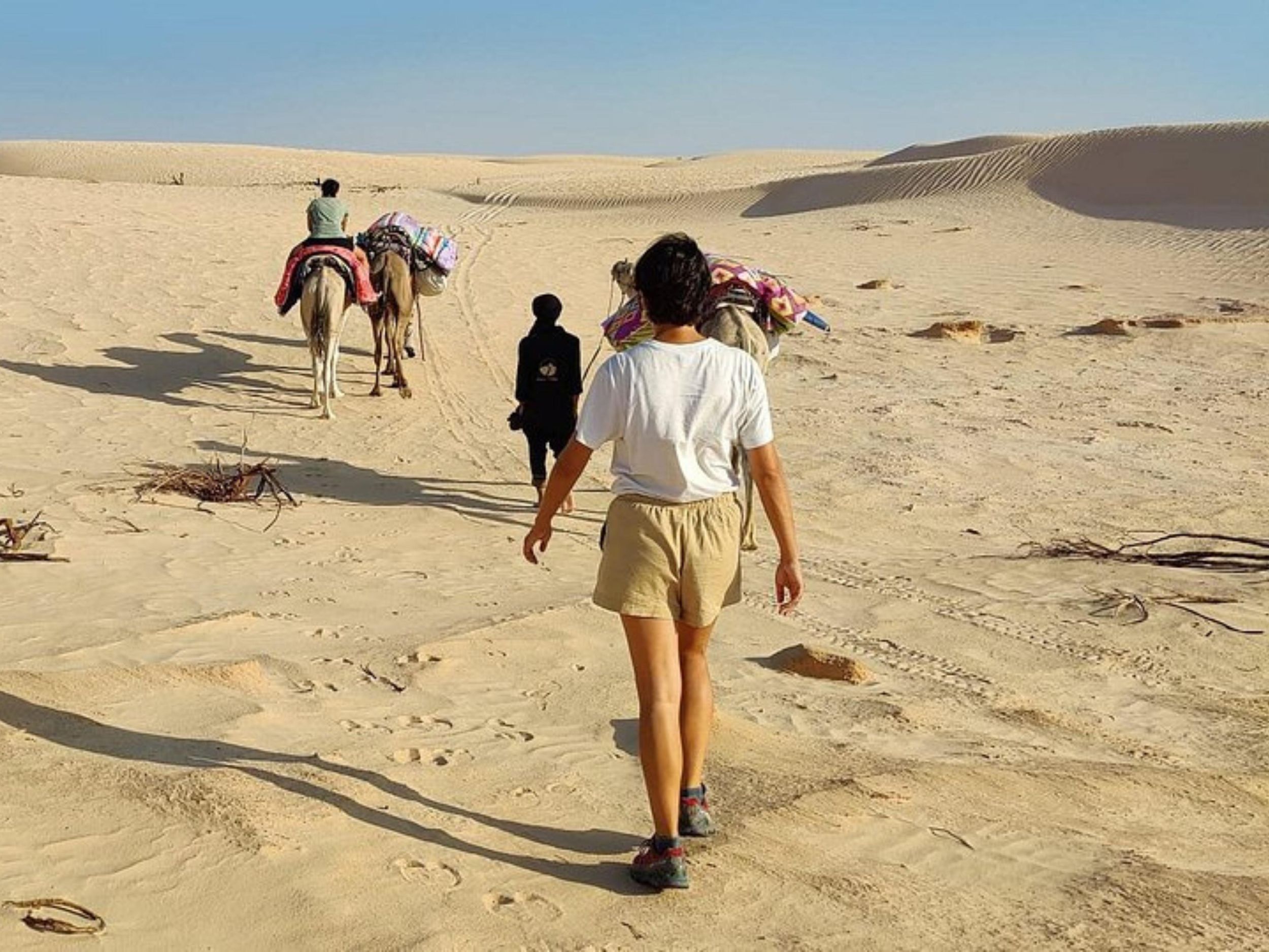 Djerba: 3-tägige Wanderung in der Sahara und im Dahar-Gebirge