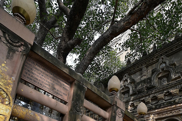 From Varanasi: 3-Day Bodhgaya Tour with Sarnath & Boat Ride Private Tour with A/C transport and Dedicated Driver.