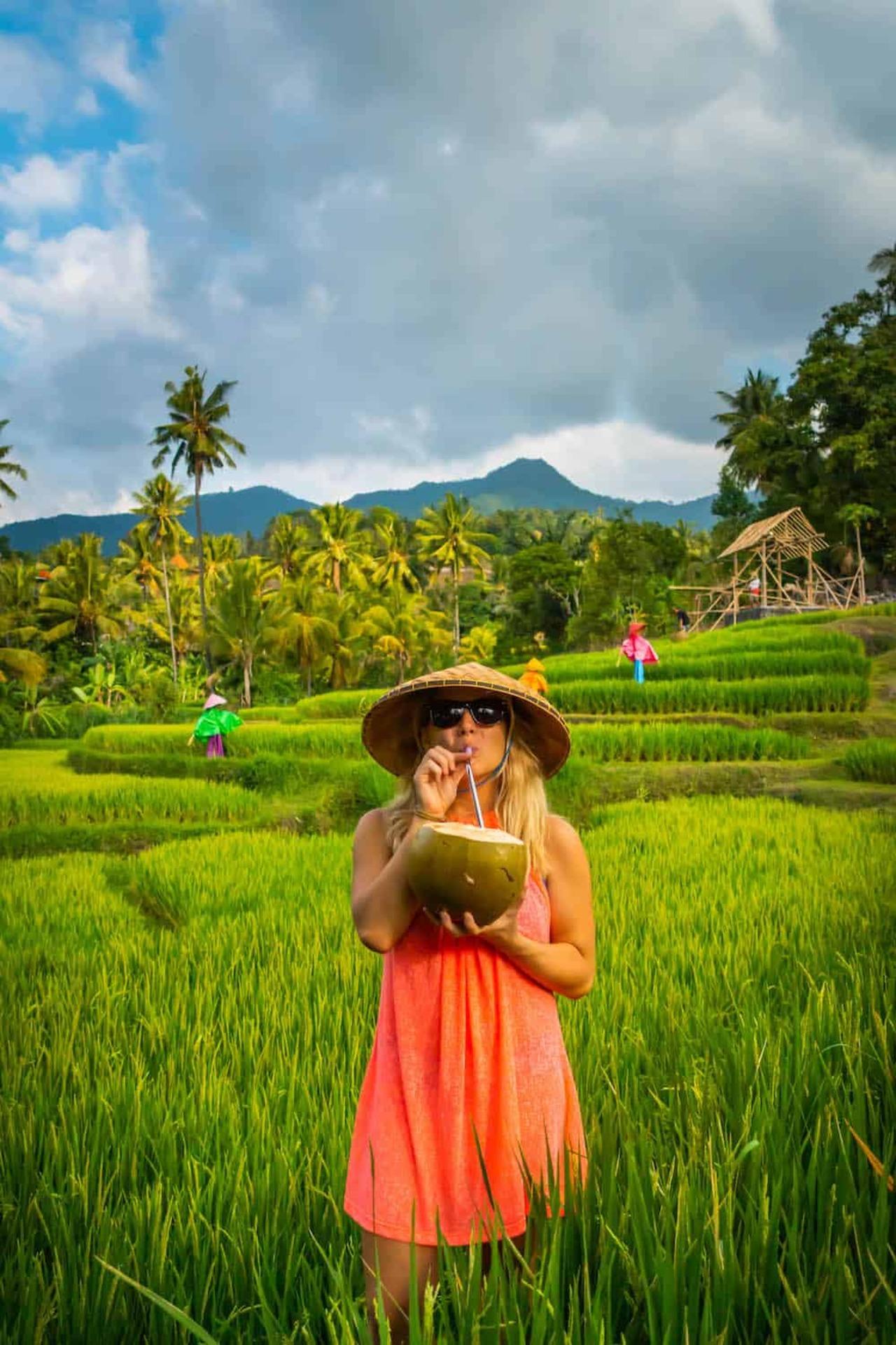 Bali: Explore North Bali Customized Day Tour