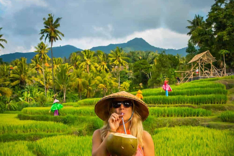 Bali: Verken Noord-Bali Persoonlijke DagtourNoord-Bali Reis B