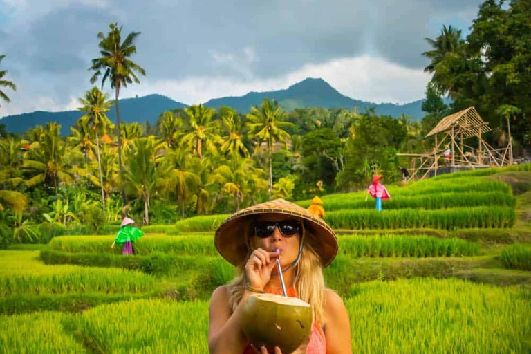 Bali: Explore North Bali Customized Private Day TourNorth Bali Trip B