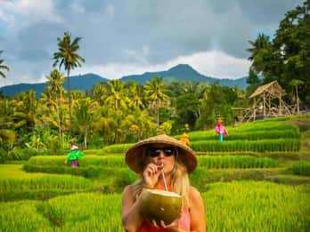 Bali : Visite personnalisée d'une journée à la découverte du nord de Bali