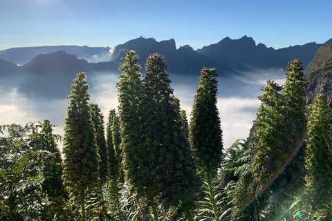 Madeira: tour panoramico privato per 1-2 persone