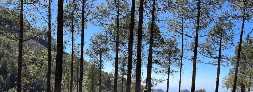 Grande Canarie : excursion à la Ventana del Nublo