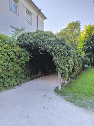 Mediakollaasi