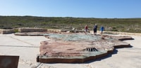 Visite privée de Cape Agulhas - Housity