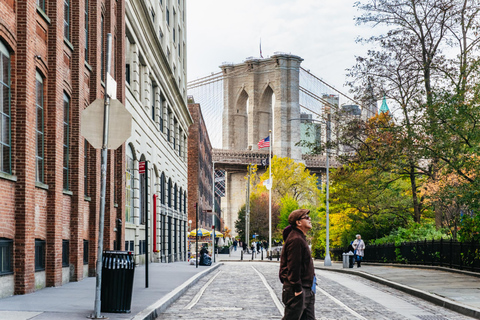 NYC: Manhattan, Bronx, Brooklyn y Queens Tour en autobús guiado