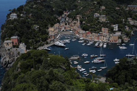 Baignade avec les cétacés Visite privée en bateau Genova Portofino