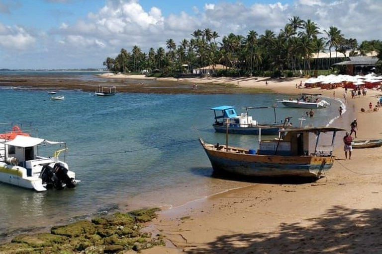 From Salvador: Praia do Forte and Guarajuba Day Trip