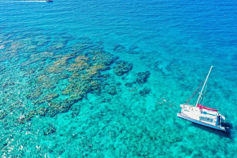 Key West: 3-Hour Afternoon Reef Snorkel with Drinks