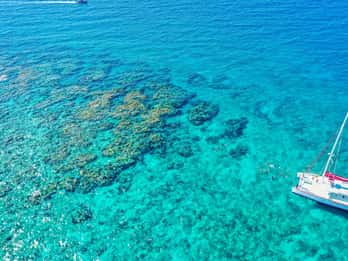 Key West: Snorkeling pomeridiano della barriera corallina di 3 ore con bevande