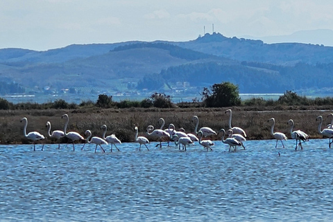 Från Durrës: Divjakë-Karavasta nationalpark dagsutflykt