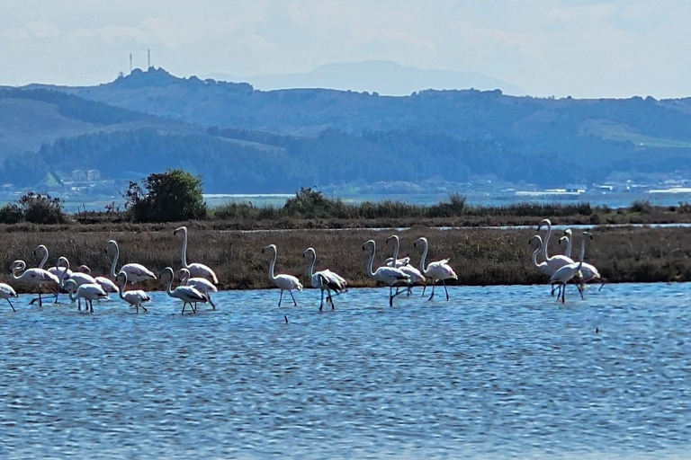 Från Durrës: Divjakë-Karavasta nationalpark dagsutflykt