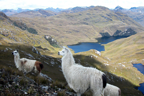 Circuit Azuay Cuenca Équateur