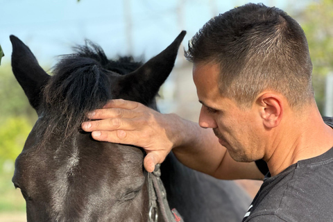 Rhodes: Unforgettable Horseback Riding Adventure Morning horse riding in the countryside of Kremasti.