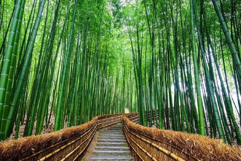 من أوساكا: جولة ليوم واحد في كيوتو ونارا وفوشيمي إناري وأراشياماTrip including Sagano Romantic Train