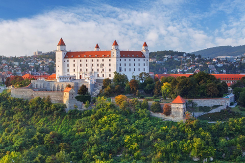 UFO Observation Deck Bratislava Private Tour mit Eintritt