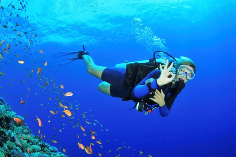 From Danang: Cham Island Day Trip with Snorkeling and Lunch