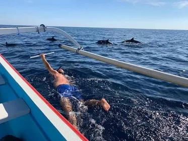 Lovina/Bali: Delfinbeobachtungstour, Schwimmen und Schnorcheln