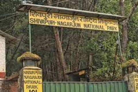 Excursión de un día al Parque Nacional de Shivapuri desde Katmandú