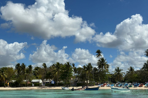 Punta Cana: Saona Island Trip by Catamaran with Lunch Punta Cana: Saona Island Excursion by Catamaran with Lunch