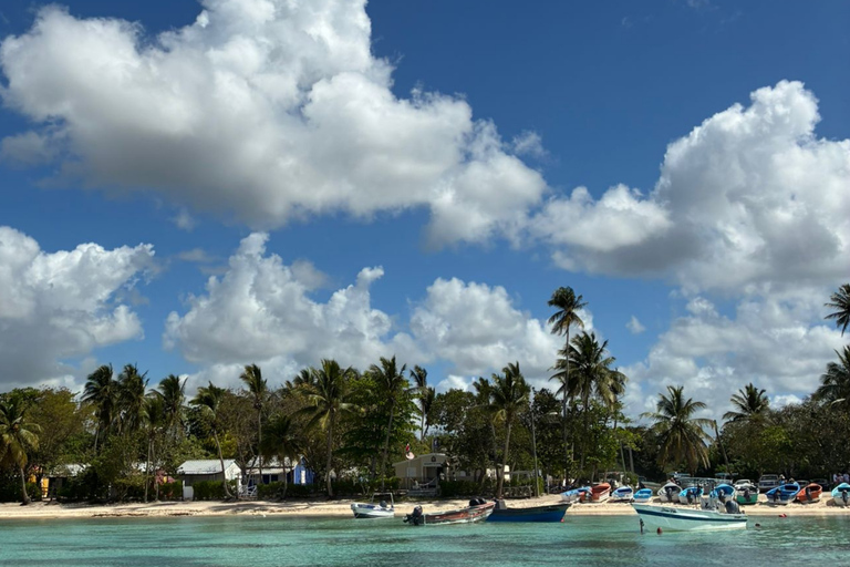 Punta Cana: Saona Island Trip by Catamaran with Lunch Punta Cana: Saona Island Excursion by Catamaran with Lunch