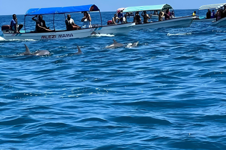 visite des dauphins sur l'île de mnemba