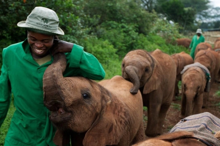 Nairobi: Nationaal park, olifantenweeshuis en giraffencentrum