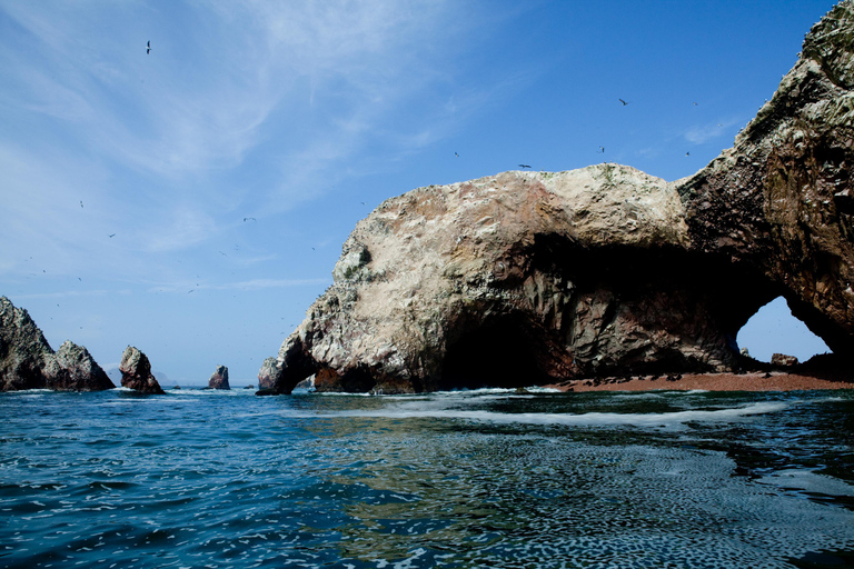 Paracas: Ballestas Islands Boat Tour & Mini Buggy Ride