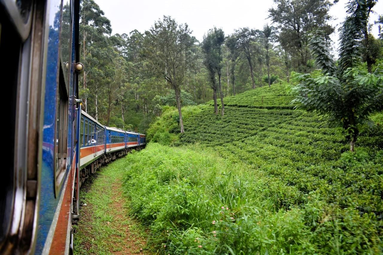 Ab Kandy: Nach Nuwara Eliya und Rücktransport zum Bahnhof Ambewela
