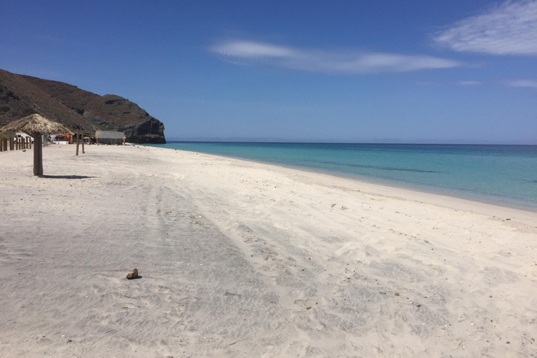 Mangroves & Beaches: Hiking Tour of Balandra, La Paz