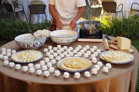 Vico Equense: Provolone del Monaco DOP Cheese Tasting