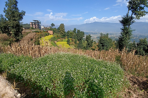 Kathmandu: 4-Day Culture, Cuisine & Himalayan Vistas