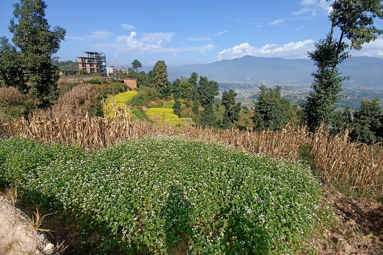 Kathmandu: 4-Day Culture, Cuisine & Himalayan Vistas