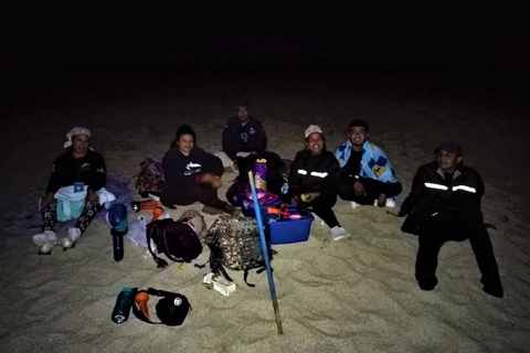 Huatulco: Nighttime Sea Turtle Monitoring guided by a biologist Hiking and Nighttime Sea Turtle Monitoring