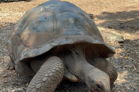 Zanzibar: Isola Prigione, Nakupenda e tour delle piantagioni di spezieZanzibar: Isola-prigione, Nakupenda e tour delle piantagioni di spezie