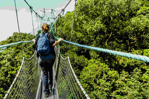 Kigali: 2-Day Nyungwe Canopy Walk, Zipline & Waterfall Tour