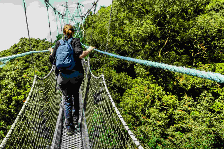 Kigali: 2-Day Nyungwe Canopy Walk, Zipline & Waterfall Tour