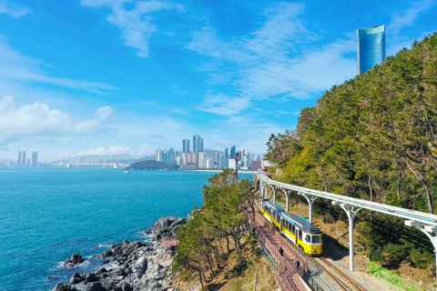 Busan: Beach Train, Gamcheon, Skywalk, Huinnyeoul Village Depart from Haeundae Station, Exit 5 at 9:30 am