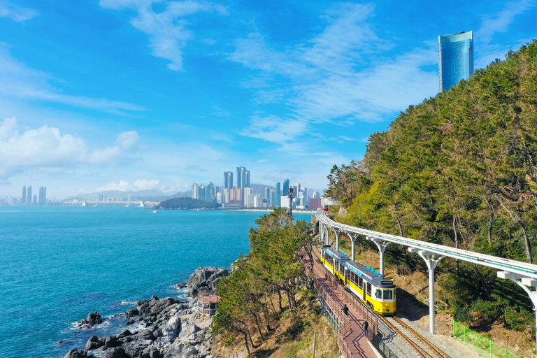Busan: Beach Train, Gamcheon, Skywalk, Huinnyeoul Village Depart from Haeundae Station, Exit 5 at 9:30 am