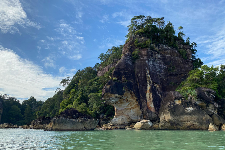Kuching: Bako Wildlife Day Tour