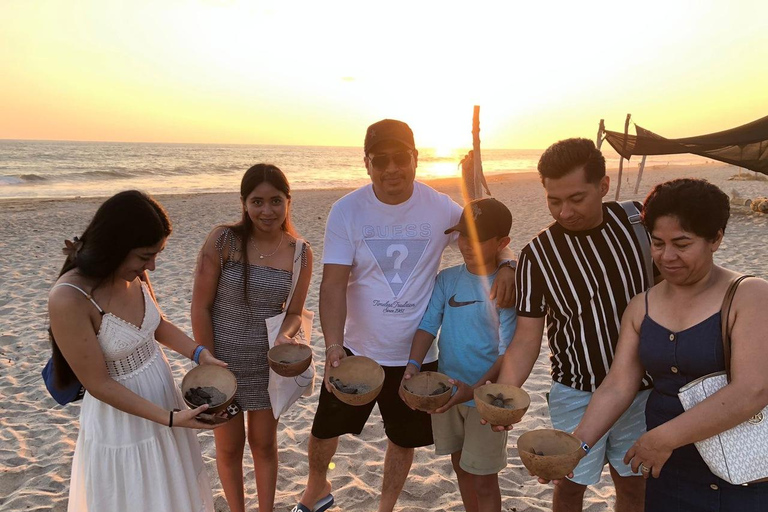 Puerto Escondido: Unforgettable Turtle Release Experience