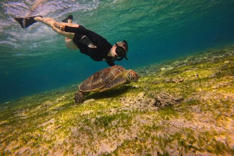 Go Pro Snorkling Trip 3 Islands. Snorkling Trip 3 Islands. Statue Under Water, Fish Garden,