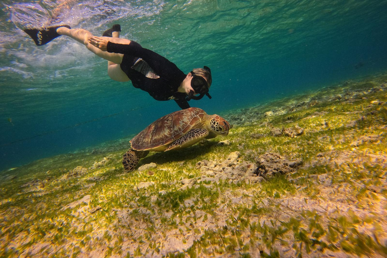 Go Pro Snorkling Trip 3 Islands.Excursion snorkling 3 îles. Statue sous l&#039;eau, Jardin des poissons,