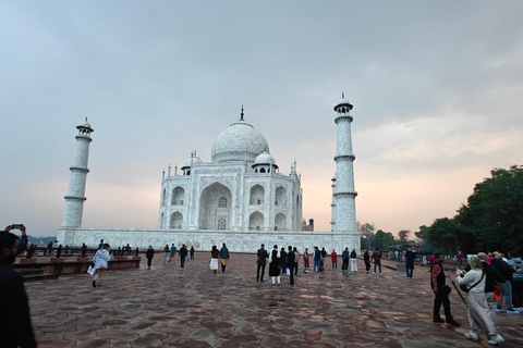 From Delhi: Taj Mahal Sunrise Tour with Elephant SOS Centres Tour with Car, Driver, Ticket, Guide & 5star Meals