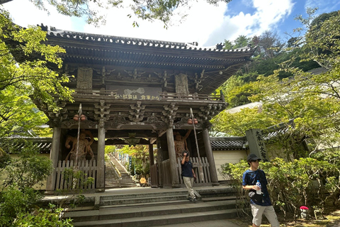 Hiroshima & Miyajima 6.5h Guided Tour – Dome, Park & Shrine