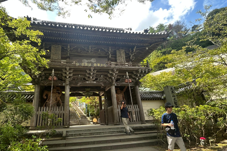 Hiroshima & Miyajima 6.5h Guided Tour – Dome, Park & Shrine